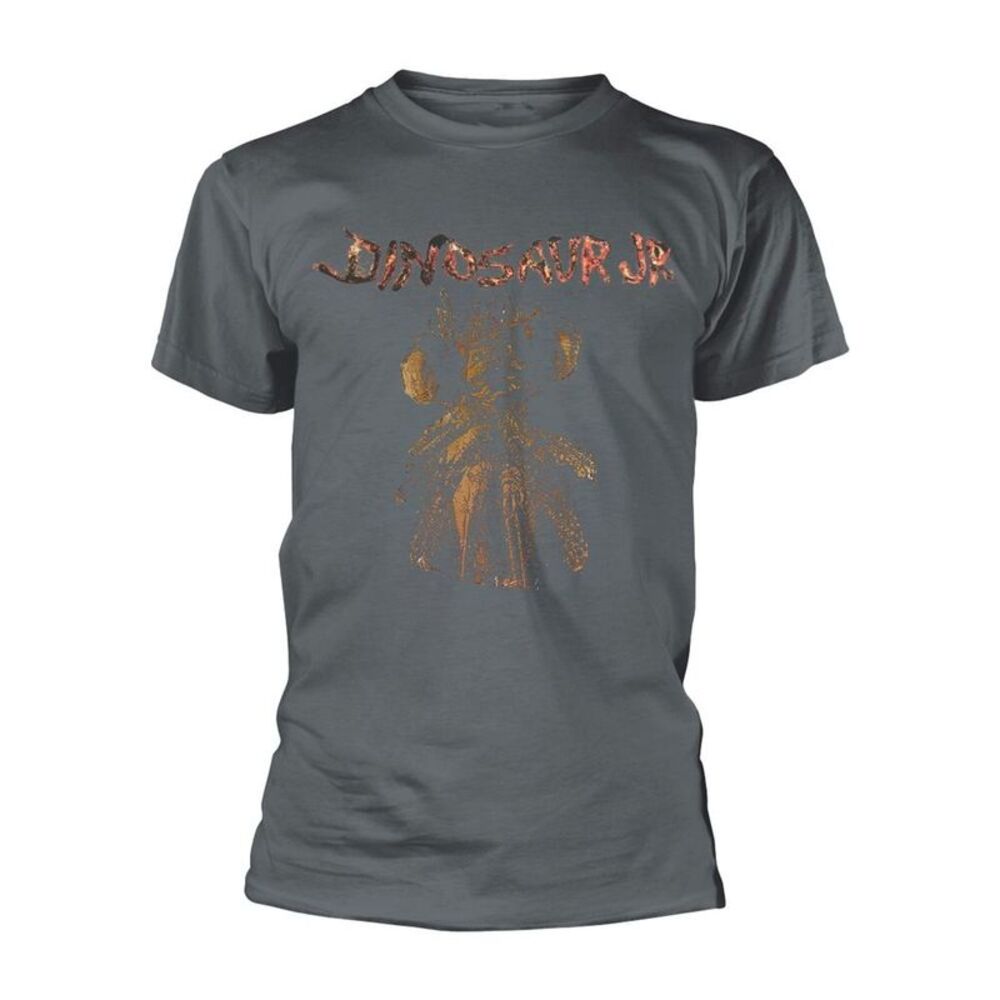 Dinosaur Jr Unisex Adult Bug T-Shirt / Gray